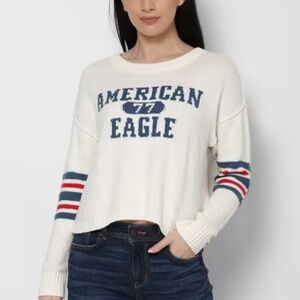 American Eagle | Graphic Knit Sweater | Size Small